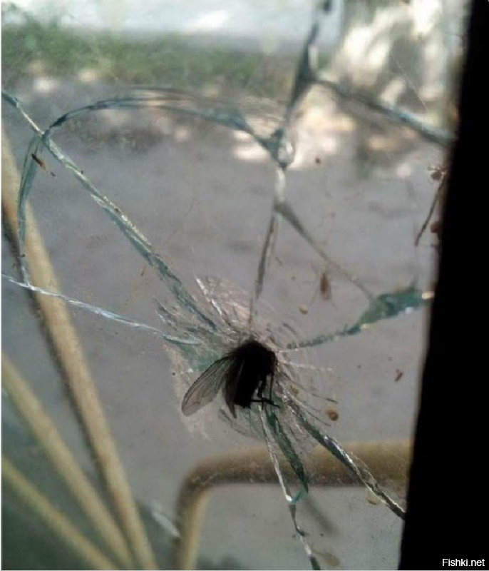 Суровые Челябинские нравы...