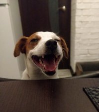 придумайте эмоцию =)