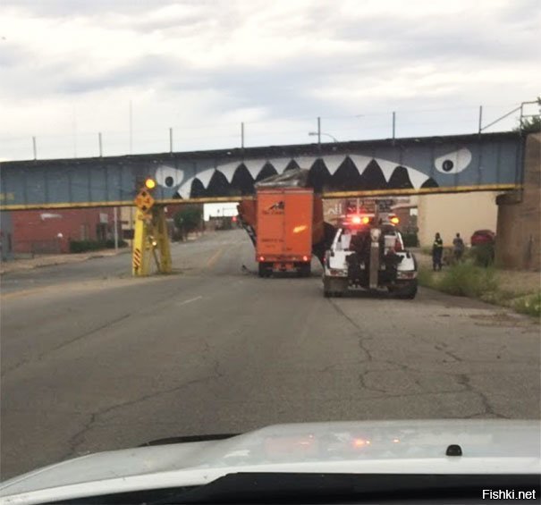 Надо будет заморнуться и такую же хрень на Софийке нарисовать (мост глупости в Питере)