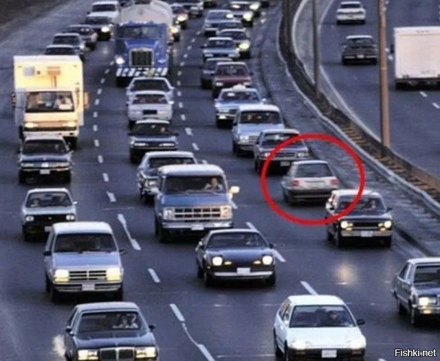 На дороге чего только не увидишь!