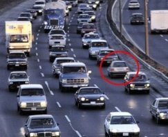 На дороге чего только не увидишь!