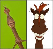 Мы и не догадываемся с каким выражением "лица" они смотрят на нас