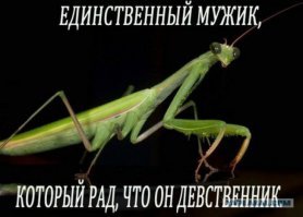 Мы и не догадываемся с каким выражением "лица" они смотрят на нас