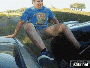 20 примеров самых отчаянных смельчаков мира, которым жить надоело