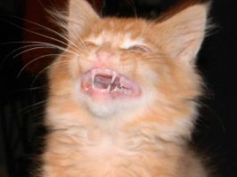 Не смеши меня...! :-)