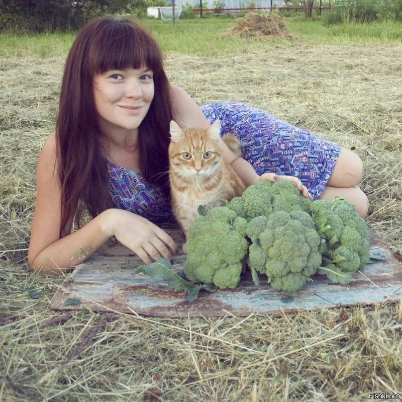 Симпатичная. Какой породы, кто знает?