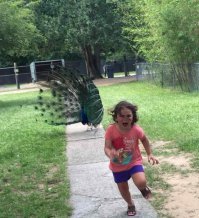 20+ уморительных примеров, когда поход в зоопарк обернулся настоящим провалом