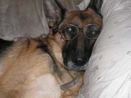 Мои..... Разные, в разное время, но все уже не со мной.