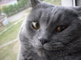 ыот что Вам от меня надо?