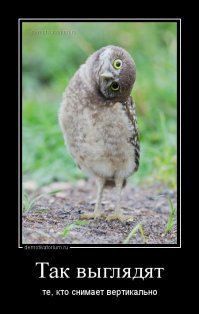 Давай на спор: бедолаги, которые теперь вряд ли будут заключать пари