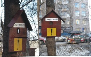 Скворечник с сюрпризом во дворе дома