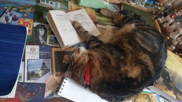 Клёпа, не любит занятия английским, говорит скучно.