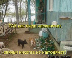 Эти шокирующие кадры показывают, что даже Эверест испытывает проблемы с отходами