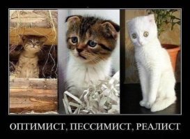 Кошачьи демотиваторы