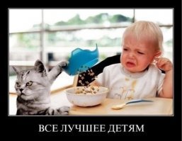 Кошачьи демотиваторы