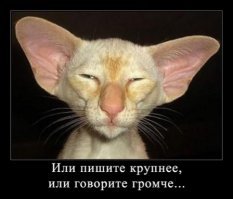 Кошачьи демотиваторы