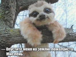 25 людей, которых сразил острый приступ лени