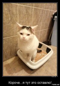 Sony отфотошопила лица Питта и Ди Каприо, но всё тайное всегда становится явным