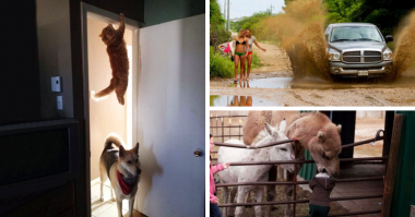 25 убойных фотографий, которые были сделаны в нужную секунду