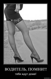 29% заводят чулки