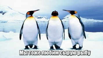 Пикантное перуанское севиче - блюдо из сырой рыбы