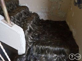 Про волосатую лестницу забыли!!! Исправляю...