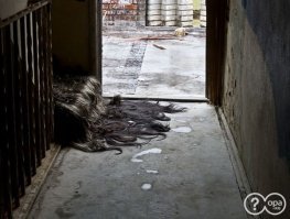 Про волосатую лестницу забыли!!! Исправляю...