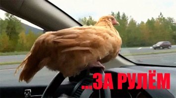 Упс! - девушка сдала назад не глядя