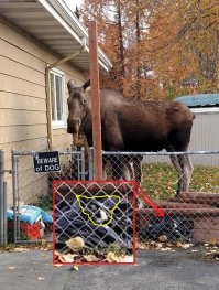 Я нашёл сторожа )))