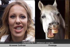 И зачем этой кобыле бельё?