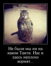 10 интересных фактов о Ямайке, которые вы, вероятно, не знали