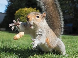25 убойных фотографий, которые были сделаны в нужную секунду