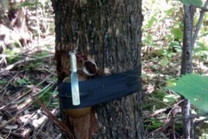 Ну или, хотя бы, вот такая растяжка. А то , что там показала Тереза - хрень какая то, ревматизьм.