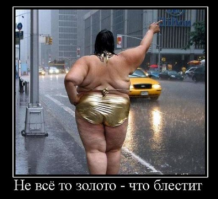 Подборка смешных картинок 