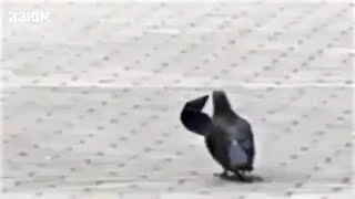 Картинки с надписями для настроения