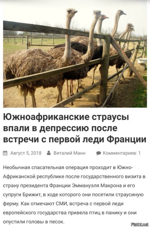 Политические коментарии соцсетей - 556
