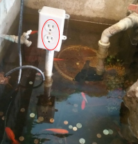 Они в шоке !!!