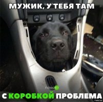 Автовсячина. Я починил!