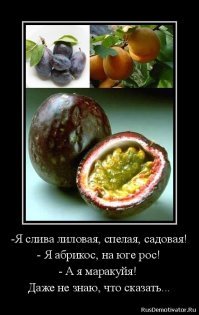 Пятничные приколы