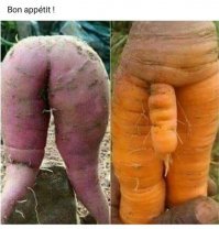 Пятничные приколы