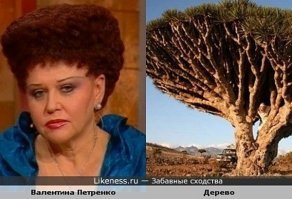 Подборка смешных картинок