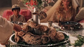 А что интересно жрал этот питон цельных полгода, вися на стропилах в сарае? То тоже и оно ... поэтому такие вопросы надо решать кардинально