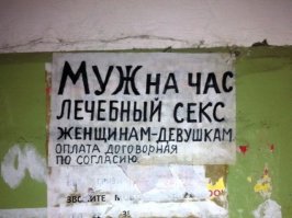 Подборка смешных картинок