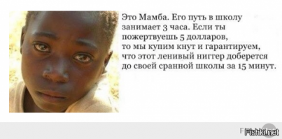 Веселые фотки с надписями