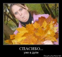 Веселые фотки с надписями