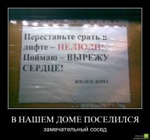 15 надписей, которые невозможно забыть, как ни старайся