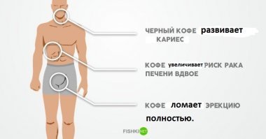 мнение куеландских ученых