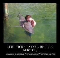 На пляже Австралии нашли зубы акулы, жившей около 25 миллионов лет назад