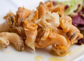 Улитка трубач. Вполне себе кушается в приморье, консервируется и можно в принципе найти по всей стране. 
Очень даже вкусно.