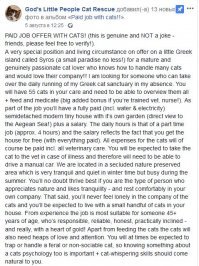 Как получать деньги, тусуясь с кошками на прекрасном греческом острове